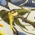 Who founded the audubon society?